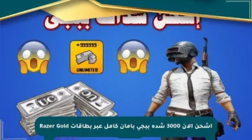 اشحن الآن 3000 شدة ببجي بأمان كامل عبر بطاقات Razer Gold
